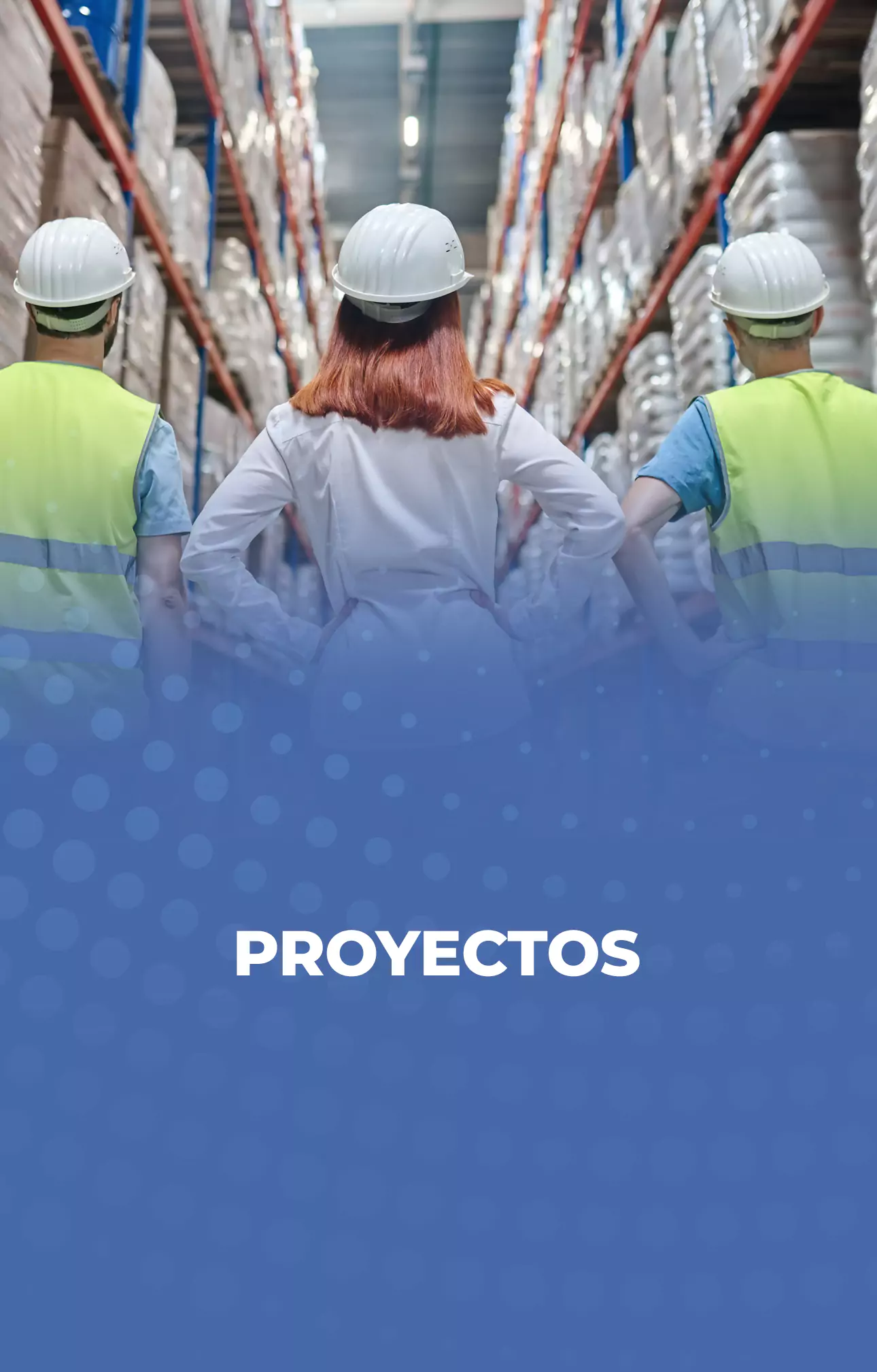 Sdworks Proyectos Destacados